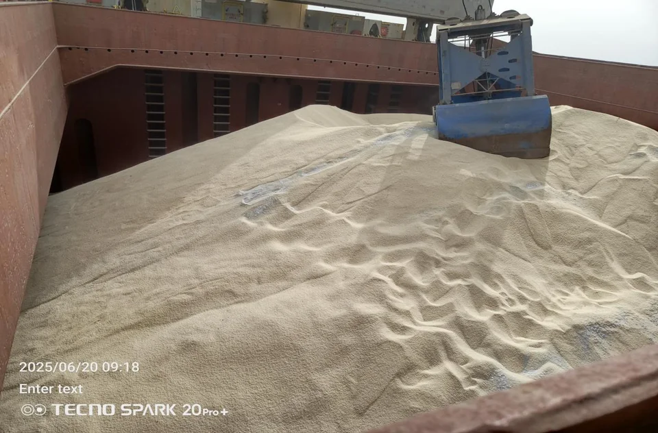 A cargo grab above rice in the hold of MV Callio